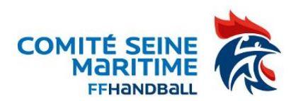 Comité de Seine Maritime de Handball 